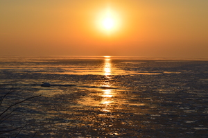 Image-preview_300x200