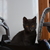 Image-square_50