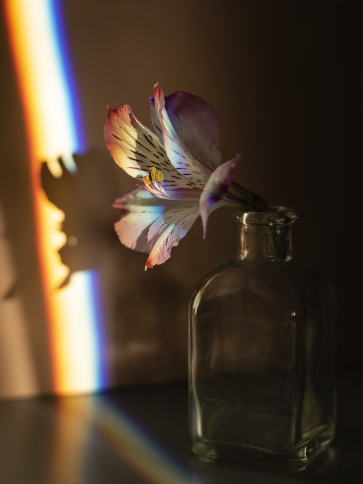 Image-normal