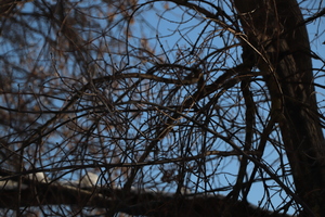 Image-preview_300x200