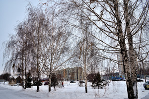 Image-preview_300x200