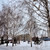 Image-square_50
