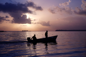 Image-preview_300x200