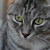 Image-square_50