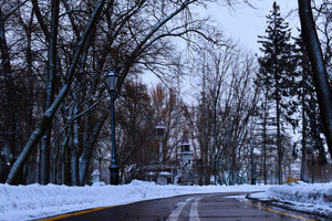 Image-preview_300x200