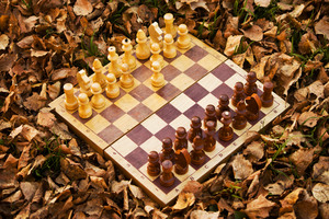 Image-preview_300x200