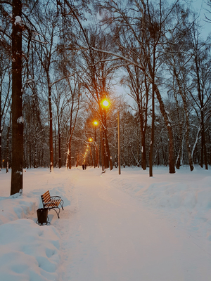 Image-preview_300x200
