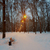 Image-square_50