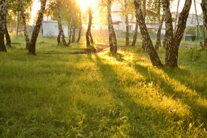 Image-preview_300x200