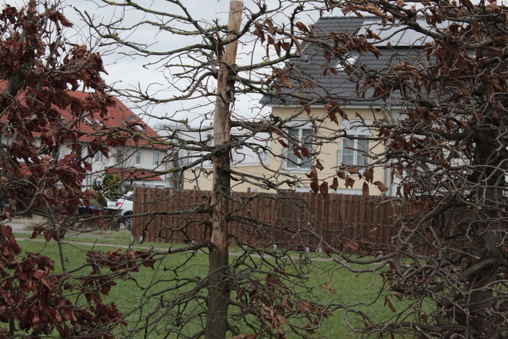 Image-normal