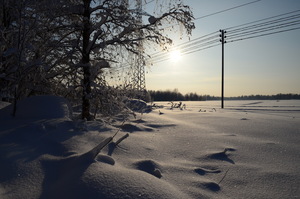 Image-preview_300x200