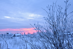 Image-preview_300x200