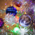 Image-square_50