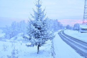 Image-preview_300x200