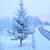 Image-square_50