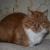 Image-square_50