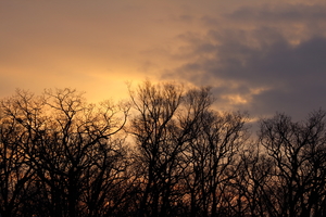 Image-preview_300x200