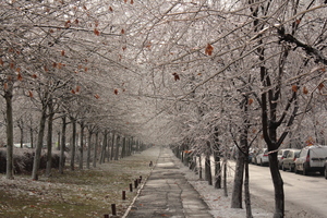 Image-preview_300x200