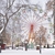 Image-square_50