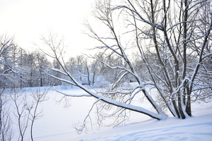 Image-preview_300x200
