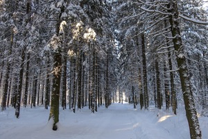 Image-preview_300x200