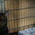 Image-square_50
