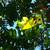 Image-square_50