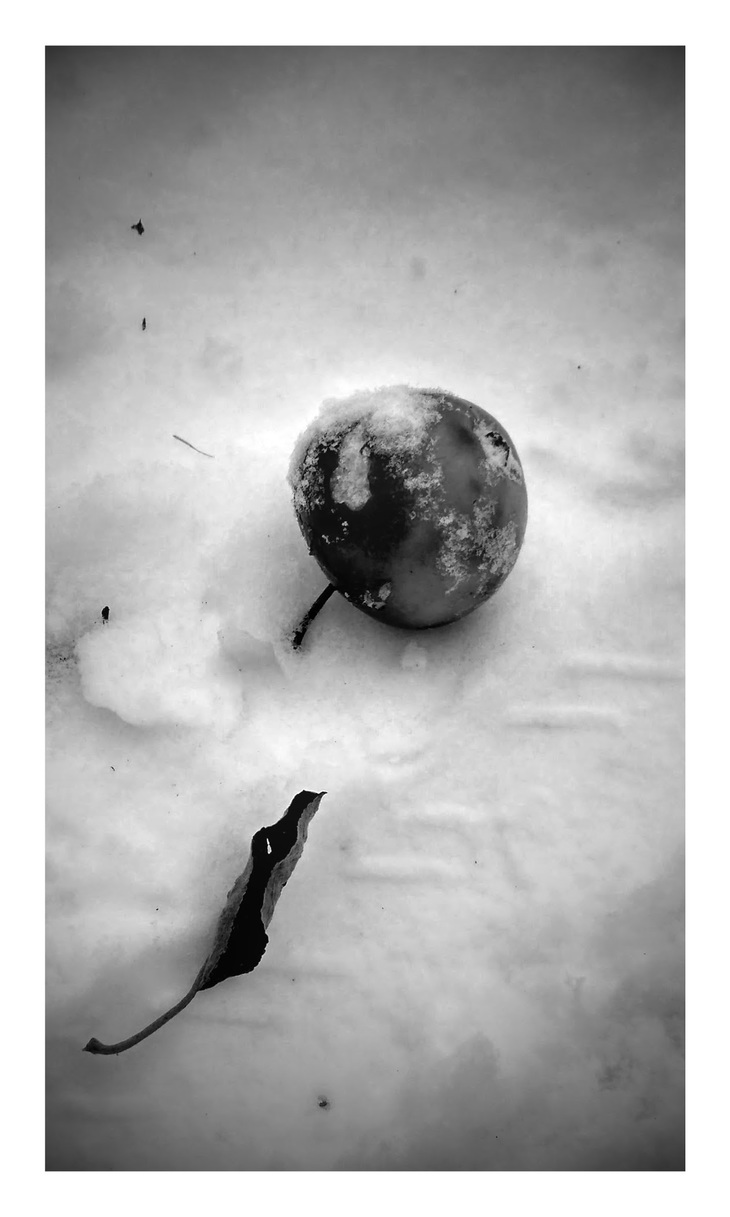 Image-normal