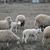 Image-square_50