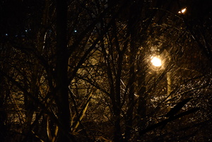 Image-preview_300x200