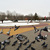 Image-square_50