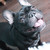 Image-square_50