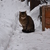 Image-square_50
