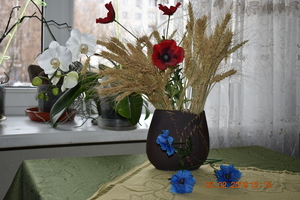 Image-preview_300x200