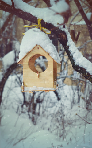 Image-preview_300x200