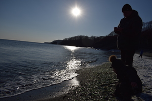 Image-preview_300x200