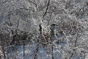 Image-preview_300x200