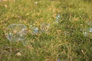 Image-preview_300x200