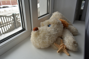 Image-preview_300x200