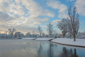 Image-preview_300x200