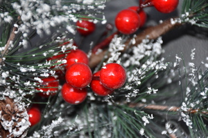 Image-preview_300x200