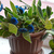 Image-square_50