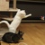 Image-square_50
