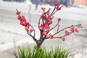 Image-preview_300x200