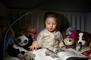 Image-preview_300x200