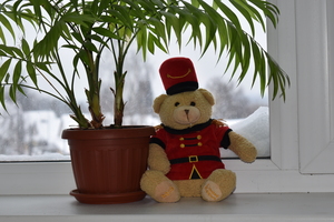 Image-preview_300x200