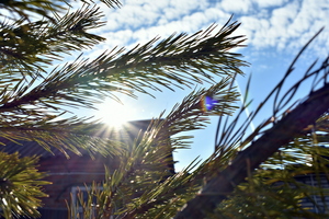 Image-preview_300x200