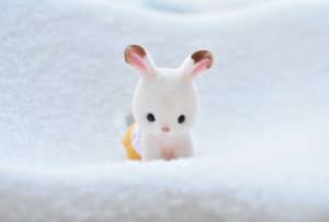 Image-preview_300x200