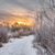 Image-square_50