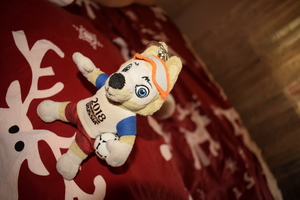 Image-preview_300x200